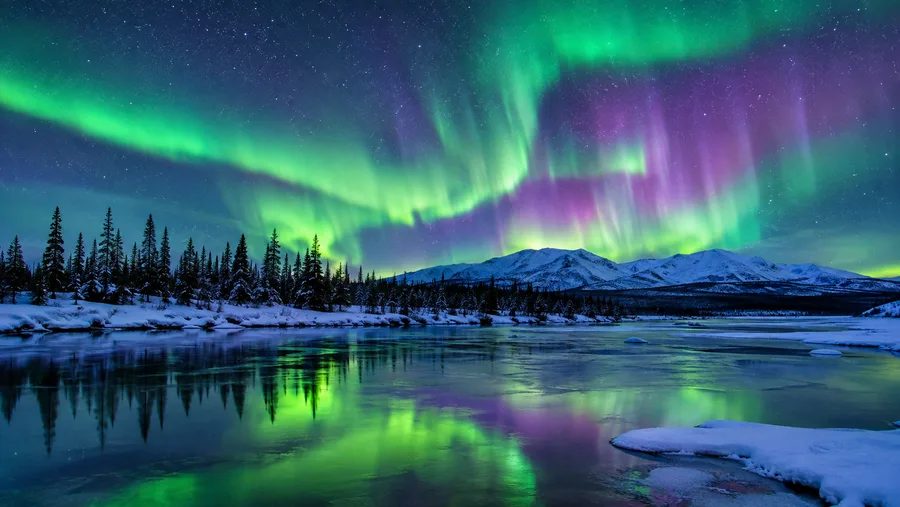 Best Fairbanks Northern Lights Tours and Excursions