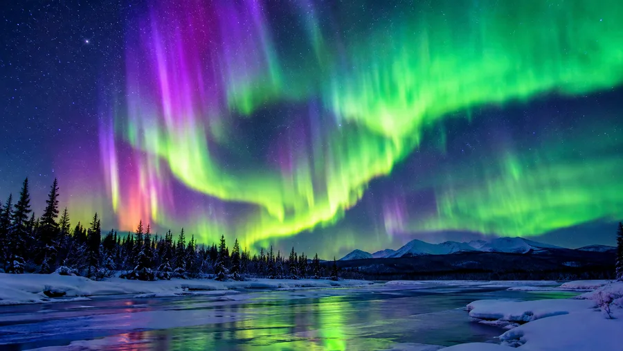 Fairbanks Northern Lights Live Cam and Aurora Webcams
